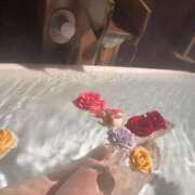 ヒメ日記 2026/04/09 20:17 投稿 ひなた 推しの娘