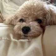 ヒメ日記 2026/02/25 00:00 投稿 あいか 船橋・西船橋ちゃんこ