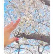 ヒメ日記 2026/02/19 01:06 投稿 みん 船橋・西船橋ちゃんこ