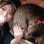 しぇる 出勤したよ💖 金瓶梅(きんぺいぱい)(雄琴)