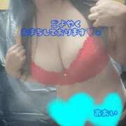 あおい 12日出勤します🫶🏻 丸妻 厚木店