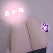 ヒメ日記 2026/02/15 19:30 投稿 あかね えちちSPA-えっちな回春性感マッサージ-五反田店