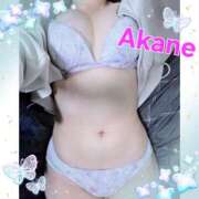 ヒメ日記 2026/03/14 14:46 投稿 あかね えちちSPA-えっちな回春性感マッサージ-五反田店