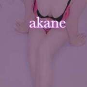 ヒメ日記 2026/03/30 22:16 投稿 あかね えちちSPA-えっちな回春性感マッサージ-五反田店