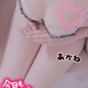 ヒメ日記 2026/08/25 01:01 投稿 あかね えちちSPA-えっちな回春性感マッサージ-五反田店