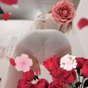 ヒメ日記 2026/04/07 15:20 投稿 ちえ ルネッサンス