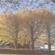 ヒメ日記 2025/12/28 17:13 投稿 すい★破格の可愛さ・完全素人★ 聖なでしこ学園 熊谷校