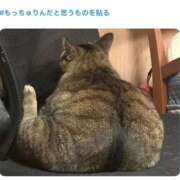 ヒメ日記 2026/06/17 15:57 投稿 星野　にじほ 松山回春性感エステオールスターズ