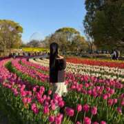 ヒメ日記 2026/04/11 14:17 投稿 まな ヒルズスパ　梅田＋