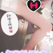 ヒメ日記 2025/12/24 14:46 投稿 せないずみ イクイクサークル鶯谷店