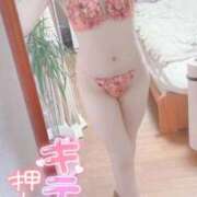 ヒメ日記 2026/01/28 12:26 投稿 せないずみ イクイクサークル鶯谷店