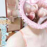 ヒメ日記 2026/01/28 20:45 投稿 せないずみ イクイクサークル鶯谷店