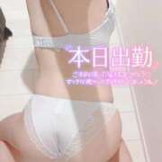 ヒメ日記 2026/02/08 10:06 投稿 せないずみ イクイクサークル鶯谷店