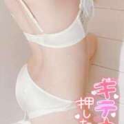 ヒメ日記 2026/03/28 09:36 投稿 せないずみ イクイクサークル鶯谷店