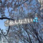 ヒメ日記 2026/03/23 07:42 投稿 白金　さとみ☆ASK TiAmo（ティアモ）