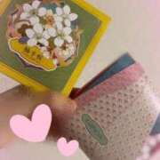 ヒメ日記 2026/04/02 11:14 投稿 白金　さとみ☆ASK TiAmo（ティアモ）