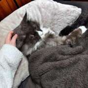 ヒメ日記 2026/01/18 23:45 投稿 るか G-SPOT 土浦店