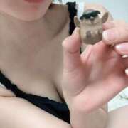 ヒメ日記 2025/12/30 00:04 投稿 ひかり 濃厚即19妻