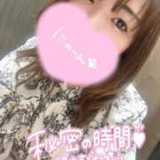 ヒメ日記 2026/03/24 14:21 投稿 さなえ IRIS(岐阜)