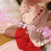 ヒメ日記 2026/03/25 12:23 投稿 さなえ IRIS(岐阜)