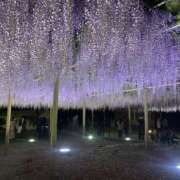 ヒメ日記 2026/02/15 23:08 投稿 とうか Ange Spa(アンジュスパ)