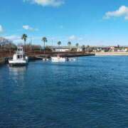 ヒメ日記 2025/12/29 15:53 投稿 みなと 熟女総本店 堺東店