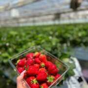 ヒメ日記 2026/02/08 15:42 投稿 高梨菜々 お姉さんCLUB