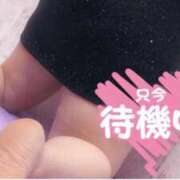 ヒメ日記 2026/02/16 18:25 投稿 めあ【業界未経験】 茨城水戸ちゃんこ