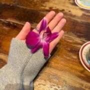 ヒメ日記 2026/03/20 23:00 投稿 みれい「みれい」 ピュアセレクラブ