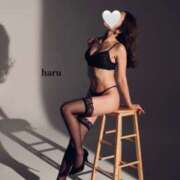 ヒメ日記 2025/12/28 22:10 投稿 はる 新橋フェアリーズ