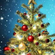 もか クリスマスイブ 兵庫加東小野ちゃんこ