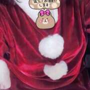 もか 今から！ 兵庫加東小野ちゃんこ