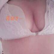 ヒメ日記 2026/02/17 07:49 投稿 もか 兵庫加東小野ちゃんこ