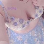 ヒメ日記 2026/03/08 11:01 投稿 もか 兵庫加東小野ちゃんこ