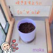 ヒメ日記 2026/03/10 19:58 投稿 もか 兵庫加東小野ちゃんこ