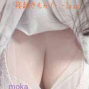 ヒメ日記 2026/03/11 07:37 投稿 もか 兵庫加東小野ちゃんこ