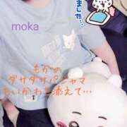 ヒメ日記 2026/03/20 06:53 投稿 もか 兵庫加東小野ちゃんこ