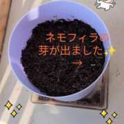 ヒメ日記 2026/03/24 12:11 投稿 もか 兵庫加東小野ちゃんこ