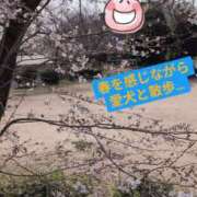 ヒメ日記 2026/03/28 20:49 投稿 もか 兵庫加東小野ちゃんこ