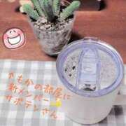 ヒメ日記 2026/03/29 21:15 投稿 もか 兵庫加東小野ちゃんこ