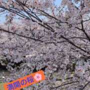 ヒメ日記 2026/04/03 12:23 投稿 もか 兵庫加東小野ちゃんこ