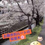 ヒメ日記 2026/04/08 12:49 投稿 もか 兵庫加東小野ちゃんこ