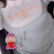 ヒメ日記 2026/05/04 07:34 投稿 もか 兵庫加東小野ちゃんこ