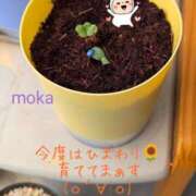 ヒメ日記 2026/05/21 06:30 投稿 もか 兵庫加東小野ちゃんこ