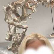 ヒメ日記 2026/04/09 19:10 投稿 Juna(じゅな) AMATERAS(アマテラス)(福山)