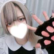 ヒメ日記 2026/02/06 08:00 投稿 あむ キミの乳首が好き！！五反田店