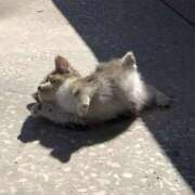 ヒメ日記 2026/02/28 19:11 投稿 あむ キミの乳首が好き！！五反田店