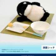 ヒメ日記 2026/06/30 18:39 投稿 あむ キミの乳首が好き！！五反田店