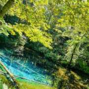 ヒメ日記 2025/12/28 20:45 投稿 かのん One More 奥様　五反田店