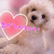 ヒメ日記 2026/01/13 17:54 投稿 かのん One More 奥様　五反田店